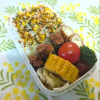 1/15 お弁当| ごるびーさん