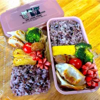 今日のお弁当|Daikiさん