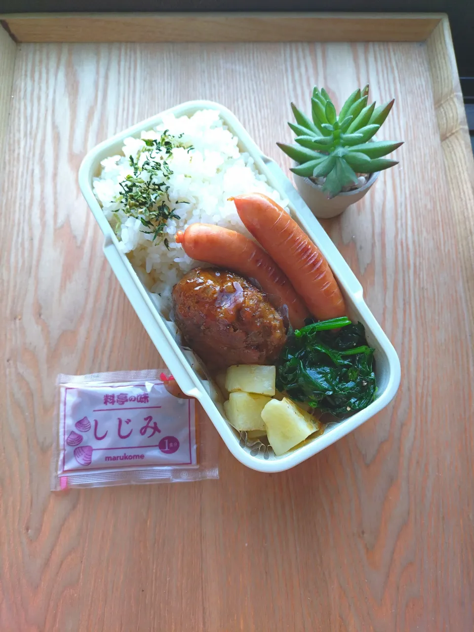照り焼きハンバーグ弁当|みわさん