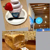 パン屋さん🍞| きみちさん