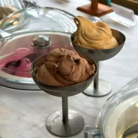 Swirls of Cappuccino & Swiss Malt Gelato 🍨🍦☕🍫🤤| An'leeさん