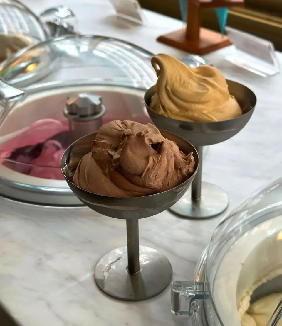 Swirls of Cappuccino & Swiss Malt Gelato 🍨🍦☕🍫🤤|An'leeさん