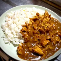 今夜はアメ色玉ねぎで仕上げた、至高のジャワカレーを頂きました😋🎵👍|ギムレットさん