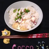 たこ飯✨|cocco+さん