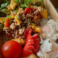 今日のお弁当|みゆき𐤔(◍´͈ ᵕ `͈ ◍)𐤔さん