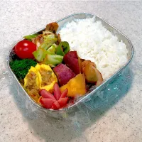 2026.1.16 高1男子弁当|Emirinkoさん