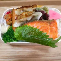 餃子と鮭ののっけ弁当|まな☆さん