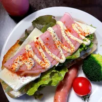 フォカッチャ(カット後)のオープンサンド|DKさん