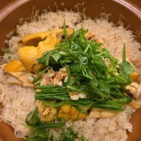 Malaysia claypot chicken rice|rufvalさん