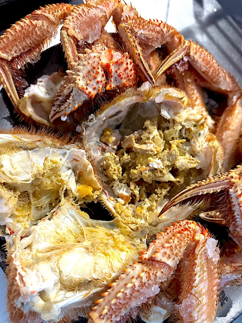 お昼、ギガ毛蟹|バジルさん