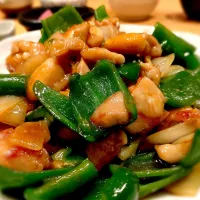 鶏肉とカシューナッツの炒め物|ともさん