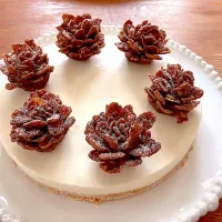 レアチーズケーキの松ぼっくりのせ|ピンキーさん