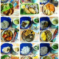 お弁当|みったんさん