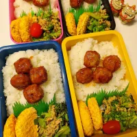 息子、夫、私、娘弁当|みどりさん