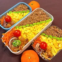 3色弁当|R☆Mさん