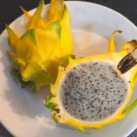 イエローピタヤ|Tomoさん