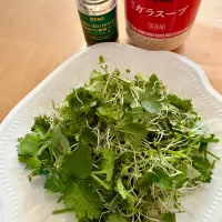 老虎菜|sana.ayaさん