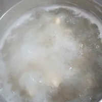 犬ご飯🐶|ポチさん