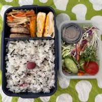 梅ひじききんぴら弁当|ひぐっちさん