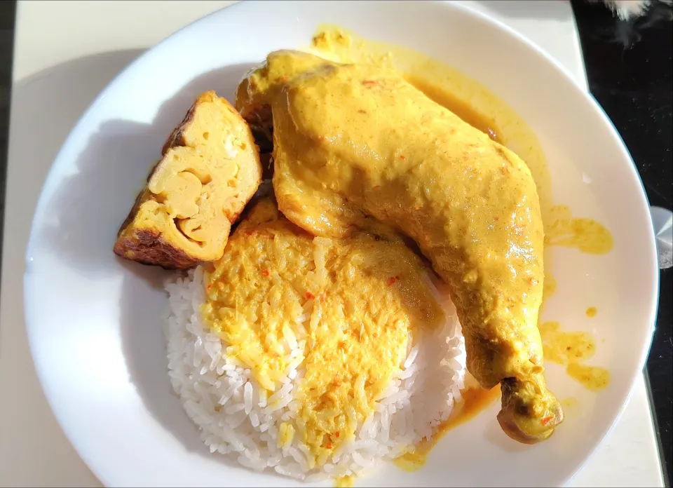 Lemak chicken 😋🍛🍗🌶️🥥🧅malay style spicy curry chicken|🍒lynnlicious🍒さん