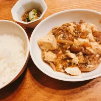 夜2026.1.19| ささなおさん