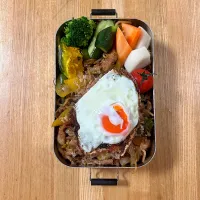 １月１６日お弁当|auloraさん