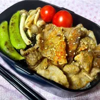 【男メシ】焼肉弁当|ワタルキャンプさん
