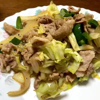 野菜炒め|はっちぃさん