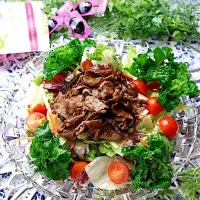 牛肉のバルサミコソースサラダ🥗|めいめいさん