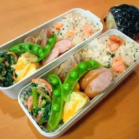 次男弁当&おにぎり|tamagomagomagoさん