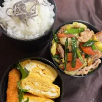 毎日弁当|らむぴさん