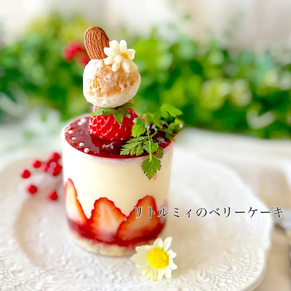 リトルミィのベリーケーキ|ノリキートさん