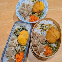 焼売弁当|NOZUさん