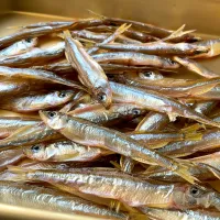 ワカサギの干物| 9421beruさん