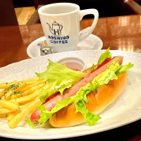 星乃珈琲|minipicnicさん