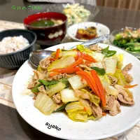 豚肉と野菜のうま煮| 亜矢子さん