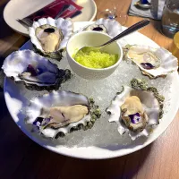 SEASONAL OYSTERS|skyblueさん