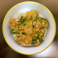 納豆ご飯|ばーさんさん