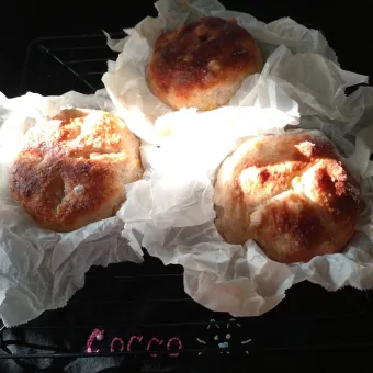 Snapdishの人気料理写真:朝日が似合うシリーズ・全粒粉のコーンのパン・ブール✨