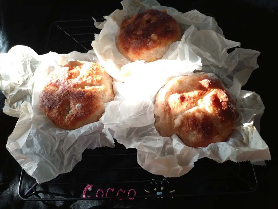 朝日が似合うシリーズ・全粒粉のコーンのパン・ブール✨|cocco+さん