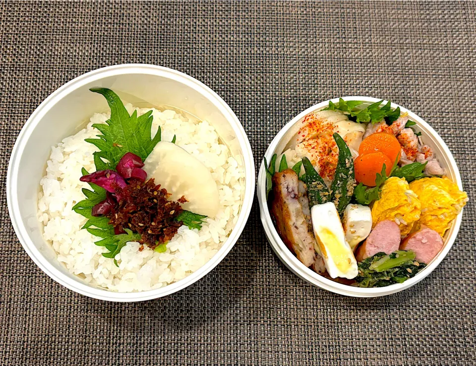 高校生息子のお弁当🍱 マンドゥ弁当🍱|Snow10さん