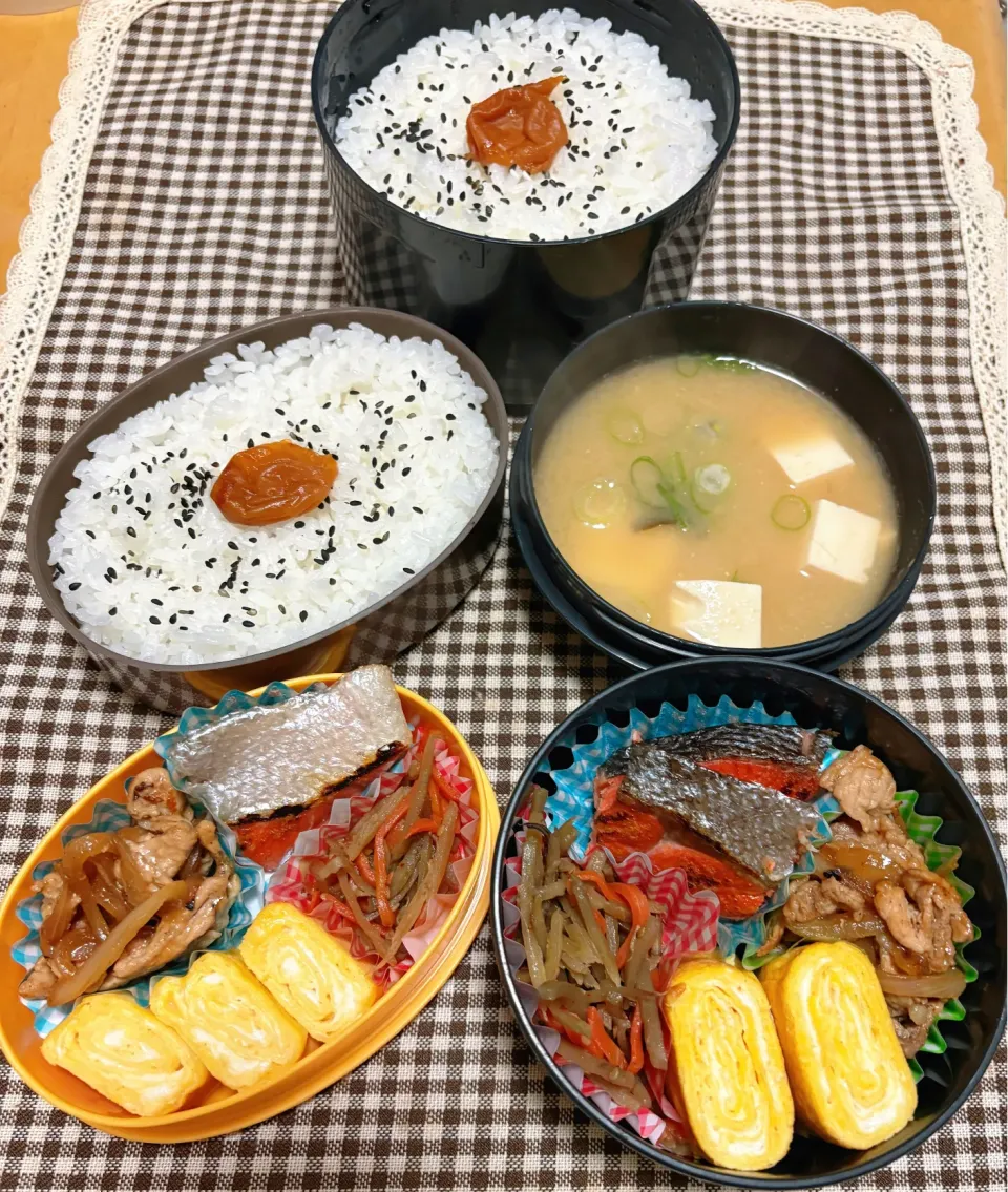 今日のお弁当 2026.1.21(Wed)|*seiko*さん