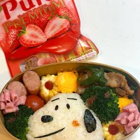 2026.01.21 JKのお弁当|こむぎさん