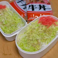 弁当|パパ氏さん