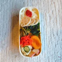 わたしのお弁当🎵 2026.1.21|mayumiさん