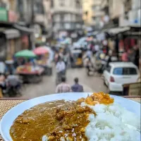 カレーライスはニューデリーの夢を見るか？|ichiさん