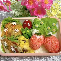 今日のお弁当(1/19)| akkiyさん