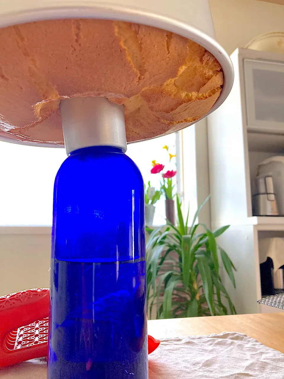 レモン🍋シフォンケーキ✨|さくたえさん