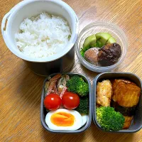 1/22 厚揚げつくね弁当|ゆさん