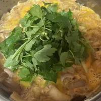 三つ葉たーっぷりの親子丼✨昨日の疲れが取れず、おまけに寒い😨　　　　　　　　　　　　けど図書館で借りた本を全部読んだので、返したい。　　　　　　　　　　　　　　　　　　また読みたいので借りに行きました📚これと豆腐とわかめの味噌汁、あっ忘れてた！昨日炊いた大豆で勘弁して下さい🫢　　　　　　　　　　　　　　　　　鶏肉は苦手なので、いつも皮をとって、適当にきって、酒と醤油でモミモミしてから、玉ねぎと煮汁の中に入れて、たまごで２回に分けてとじます　　　　　　　　　　　　　　鶏肉が柔らかい。旦那さんから美味しいの一言をいただきました❣️| tamemitiさん